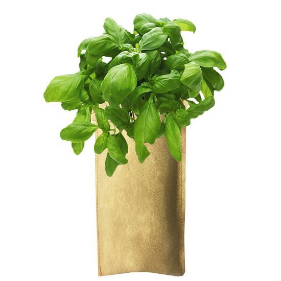 Uprawiaj własną torbę do zawieszania ziół