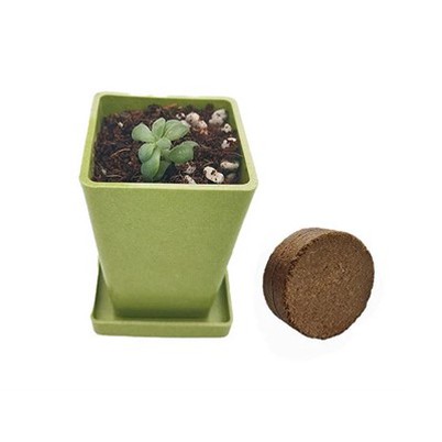 Minikwadratowa doniczka z włókna bambusowego